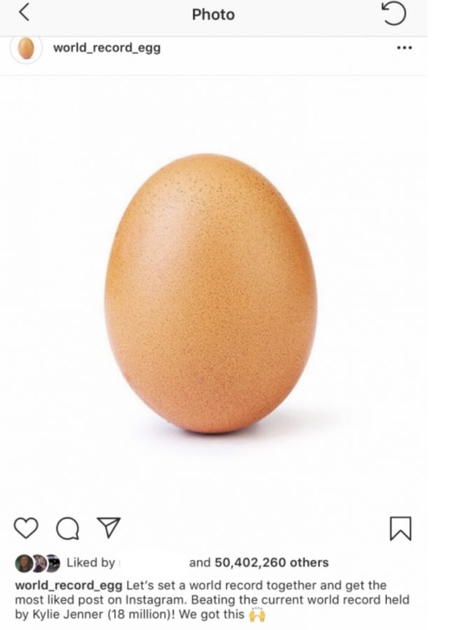 Are Eggs Replacing Celebrities?