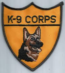 K-9 Struck by Car Still Catches Bank Robbery Suspect